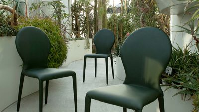 Trpezarijska stolica Zar